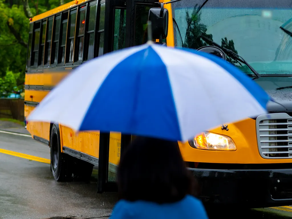 A child holding a blue and white umbrella, seen from behind, walking toward a yellow school bus on a wet street