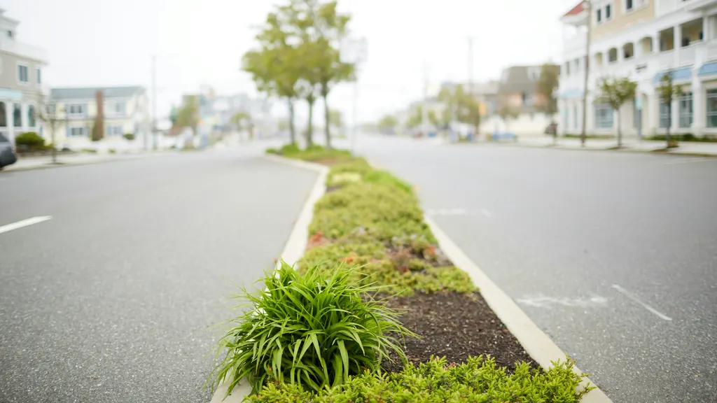 A quiet shore-town boulevard with a planted median and beach houses on an overcast day